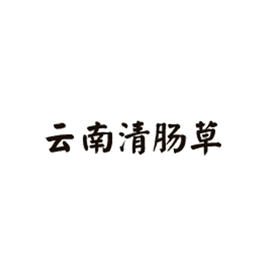 云南清肠草