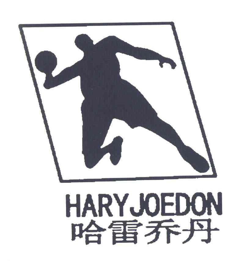  em>哈雷 /em> em>乔丹 /em> hary joedon