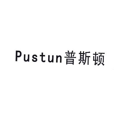 em>pustun/em 普斯顿