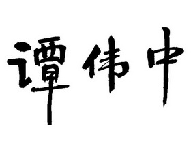 em>谭伟中/em>