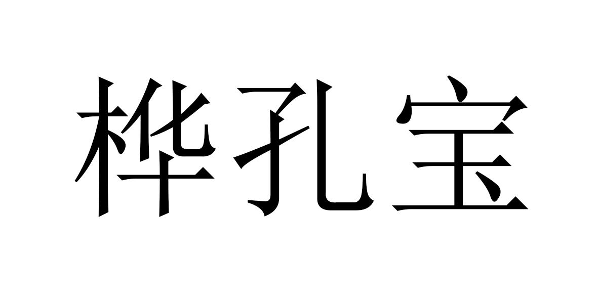 桦孔宝
