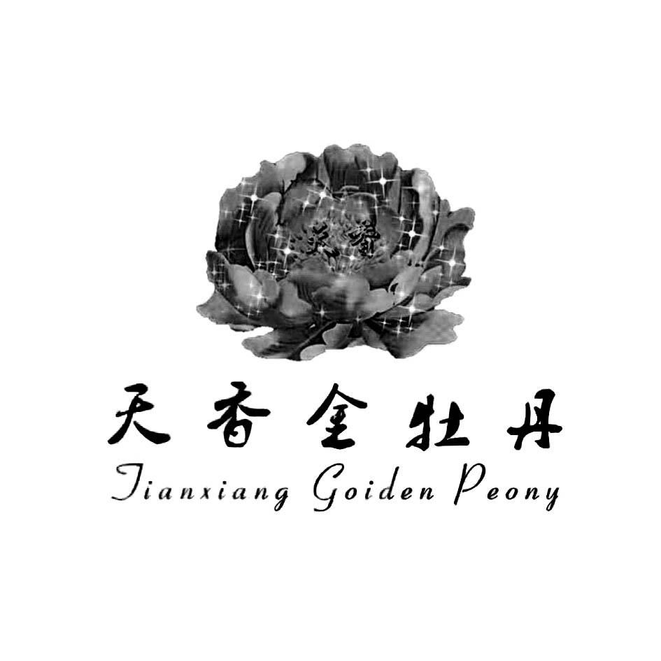 天香金牡丹 tianxiang goiden peony