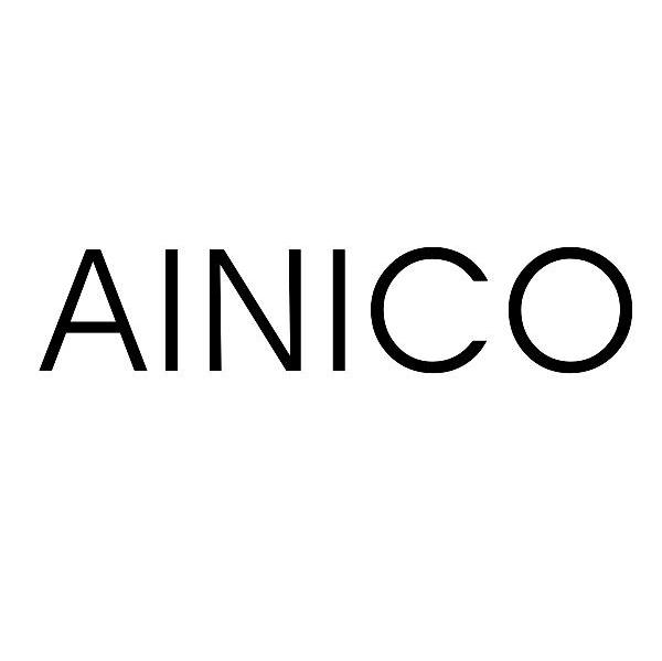 ainico_企业商标大全_商标信息查询_爱企查