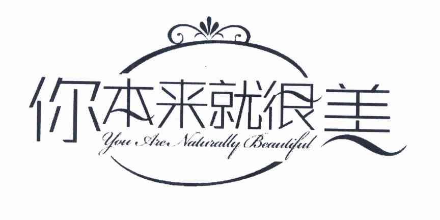 你本来就很美youarenaturallybeautiful 企业商标大全 商标信息