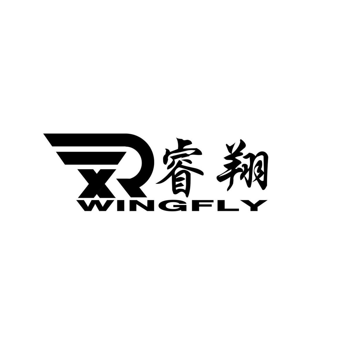 睿翔wingfly em>rx/em>