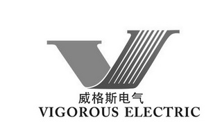 em>威格斯/em em>电气/em vigorous electric