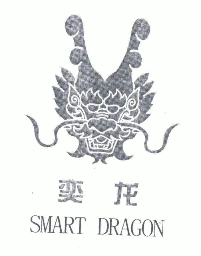 em>奕龙/em em>smart/em em>dragon/em>