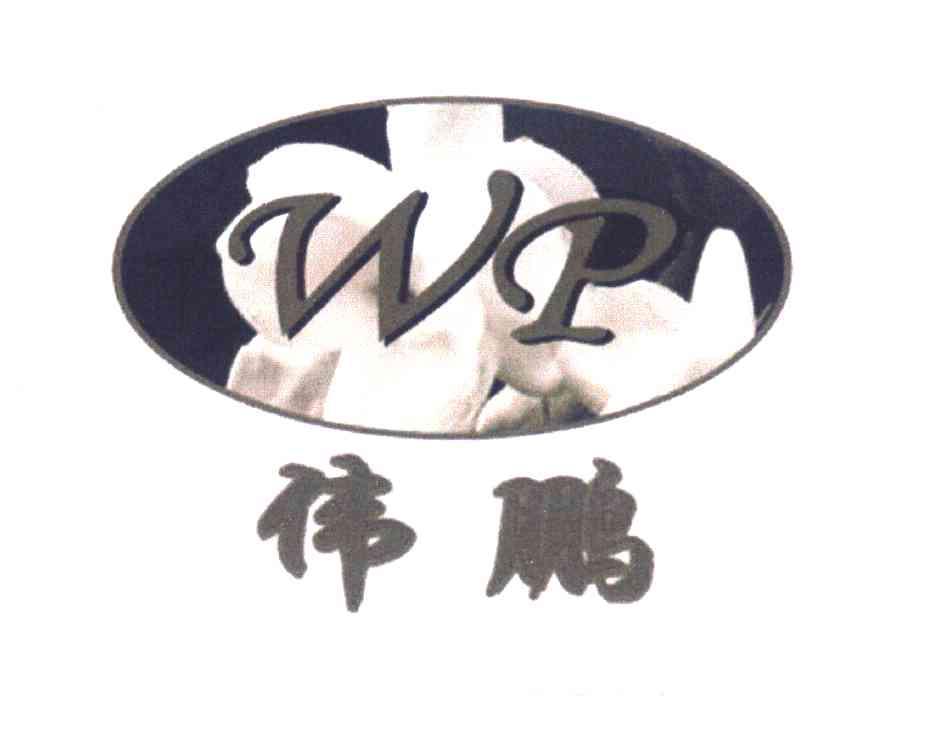 伟鹏wp商标注册申请申请/注册号:7981874申请日期:2010-01-11国际分类