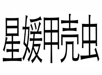 em>星媛/em em>甲壳虫/em>