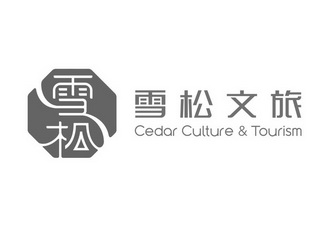 雪松 雪松文旅 cedar culture tourism