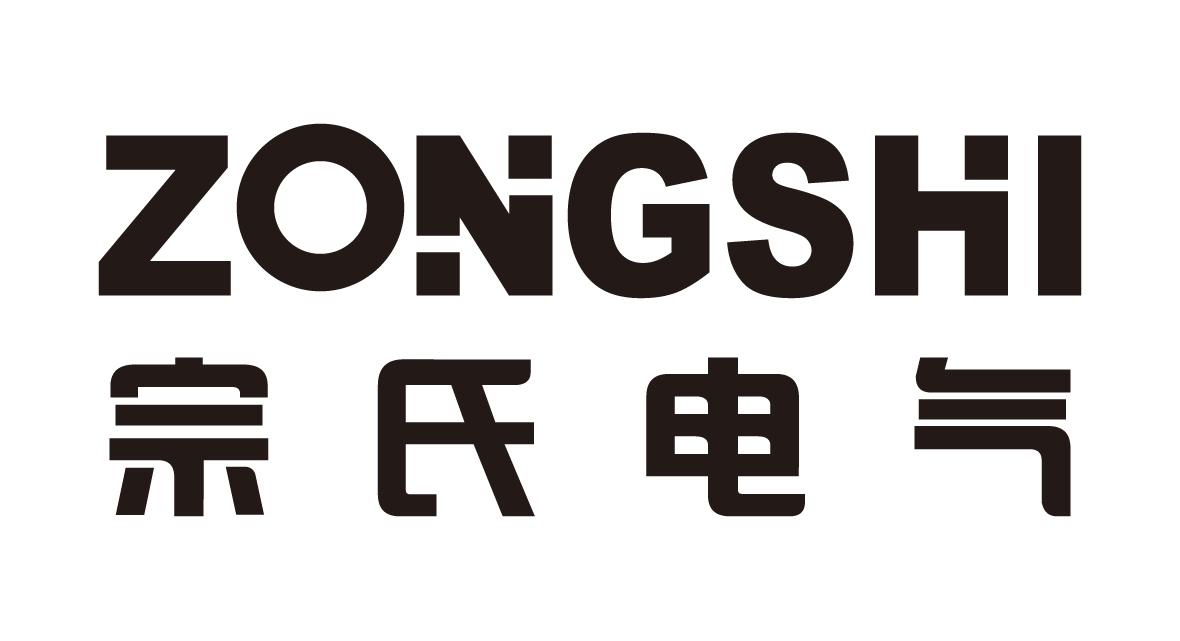 宗氏电气 zongshi