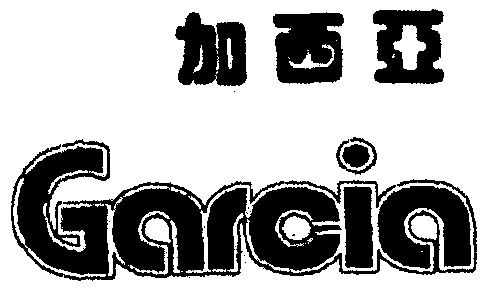 em>加西亚/em em>garcia/em>