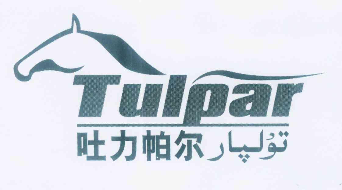 吐力帕尔 em>tulpar/em>