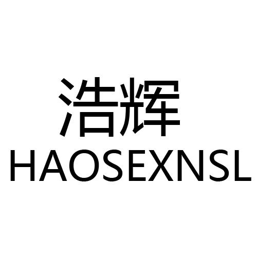 浩辉haosexnsl