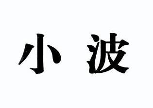 em>小波/em>