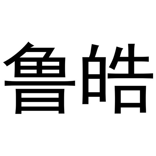 em>鲁皓/em>