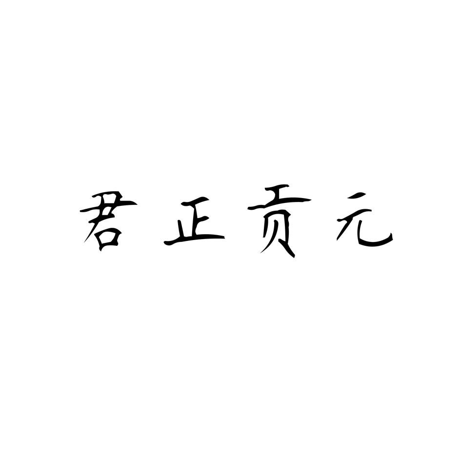 君正贡元 企业商标大全 商标信息查询 爱企查