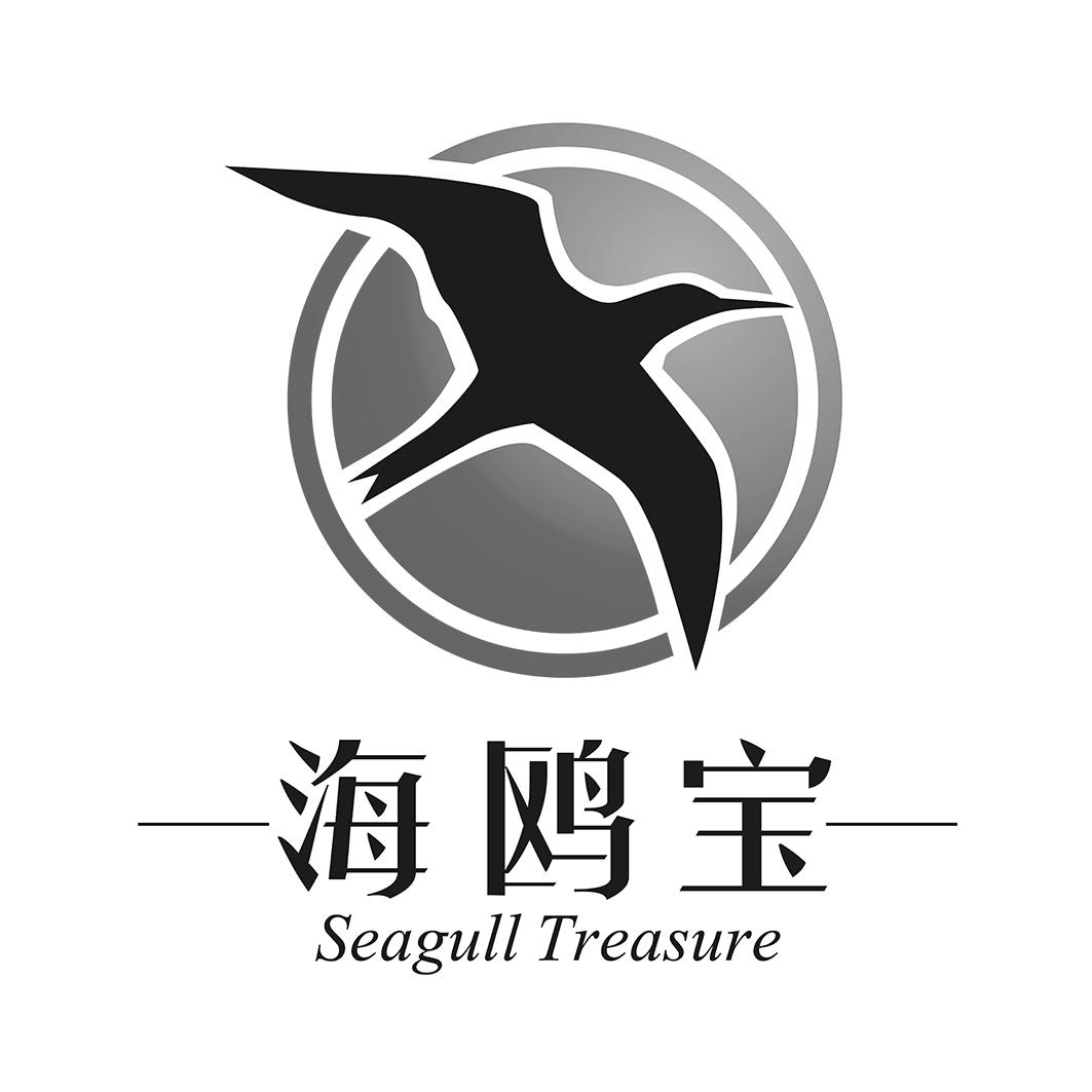 海鸥宝 seagull treasure