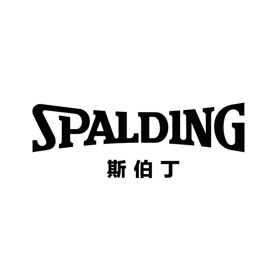 斯伯丁spalding_企业商标大全_商标信息查询_爱企查