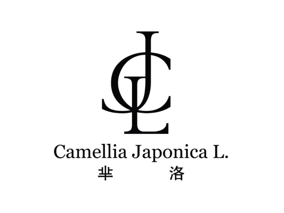 芈洛 em>cjl/em em>camellia/em japonica l