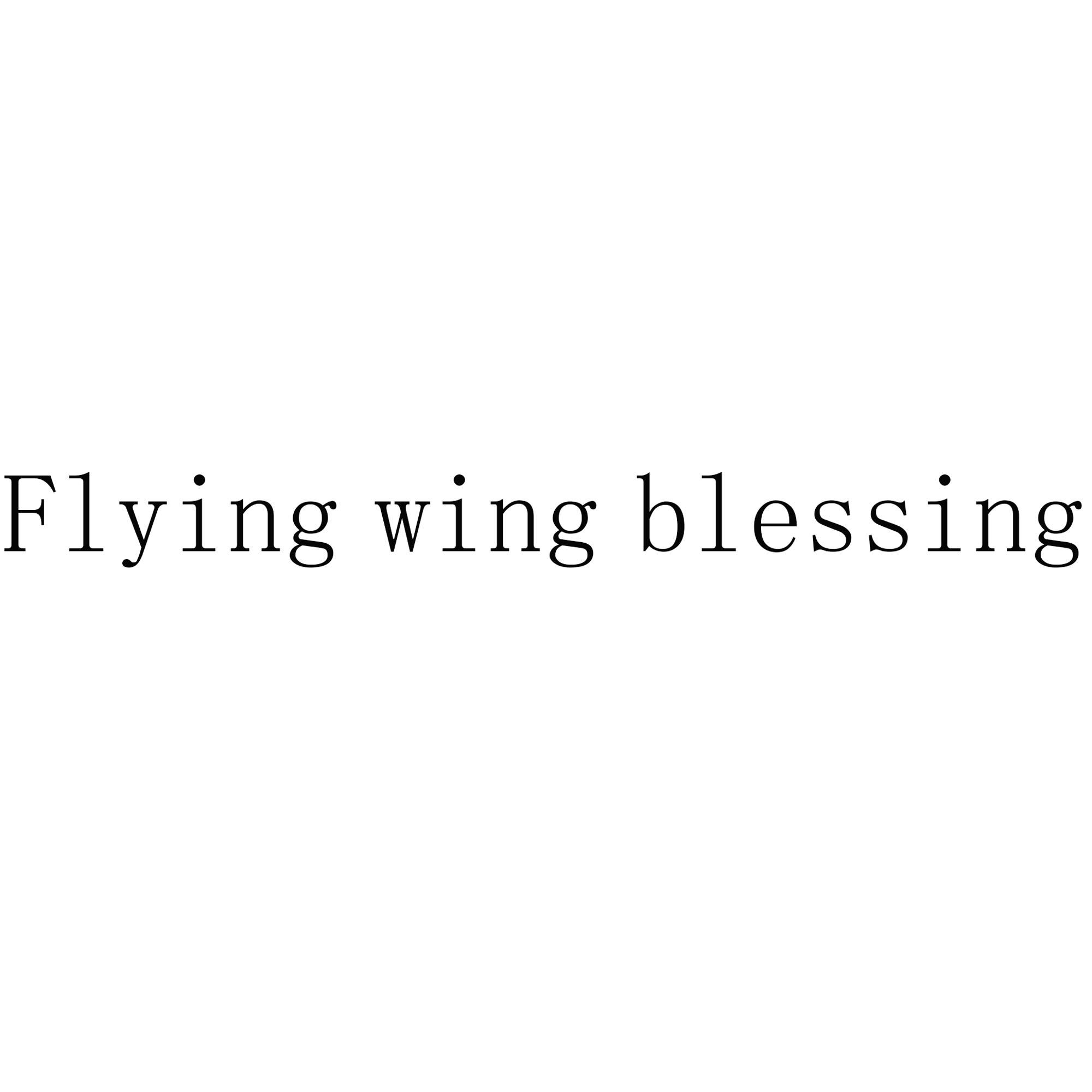 flying wing blessing                      