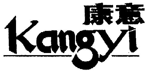 em>康意/em>