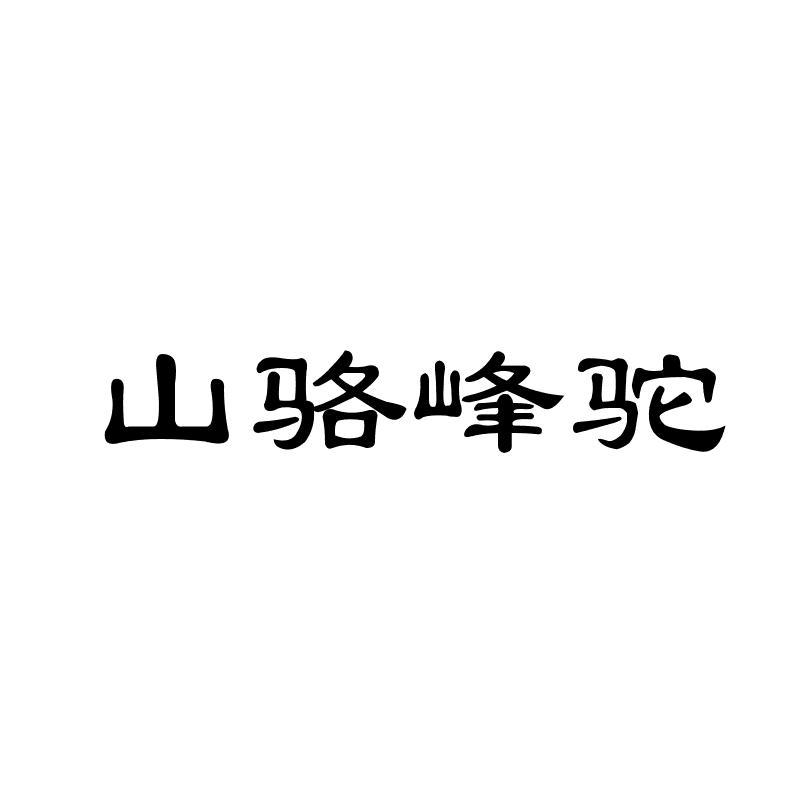 2019-04-08国际分类:第25类-服装鞋帽商标申请人:丁玉民办理/代理机构