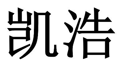 em>凯浩/em>