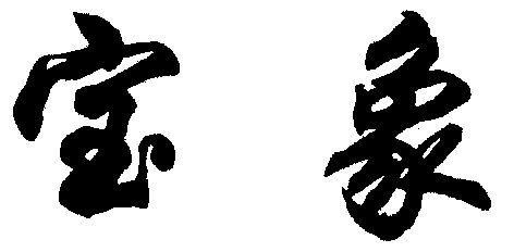 宝象