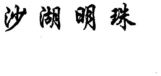em>沙湖/em em>明珠/em>