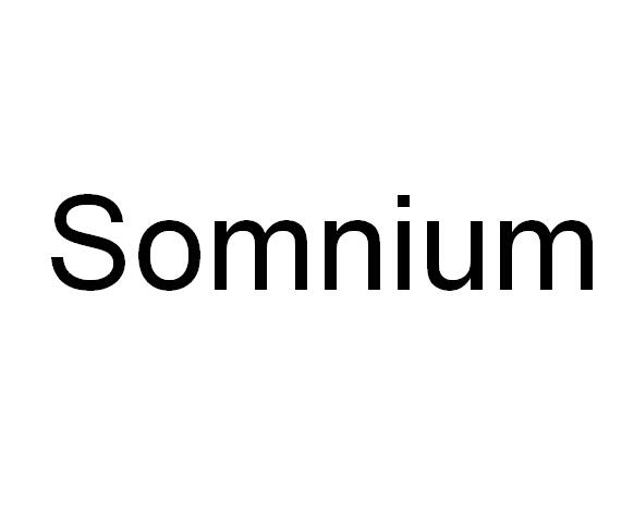  em>somnium /em>