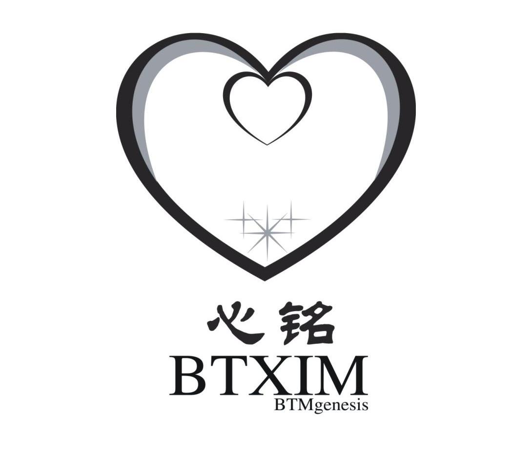 心铭btxim btmgenesis