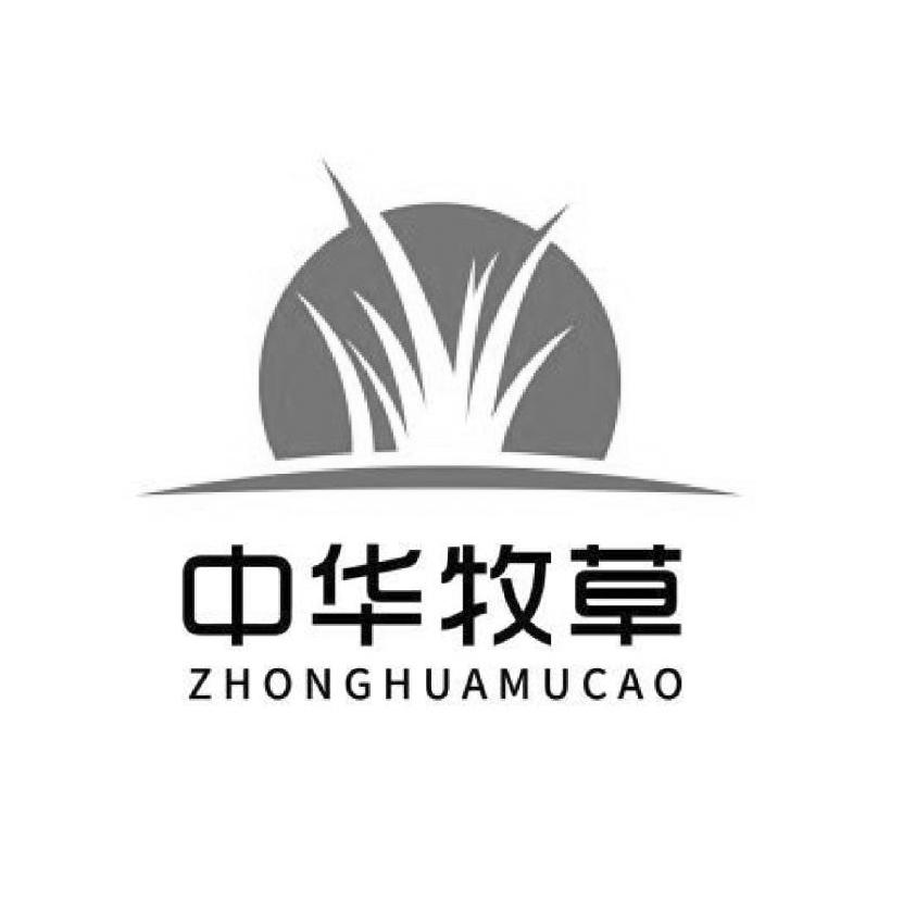 中华牧草