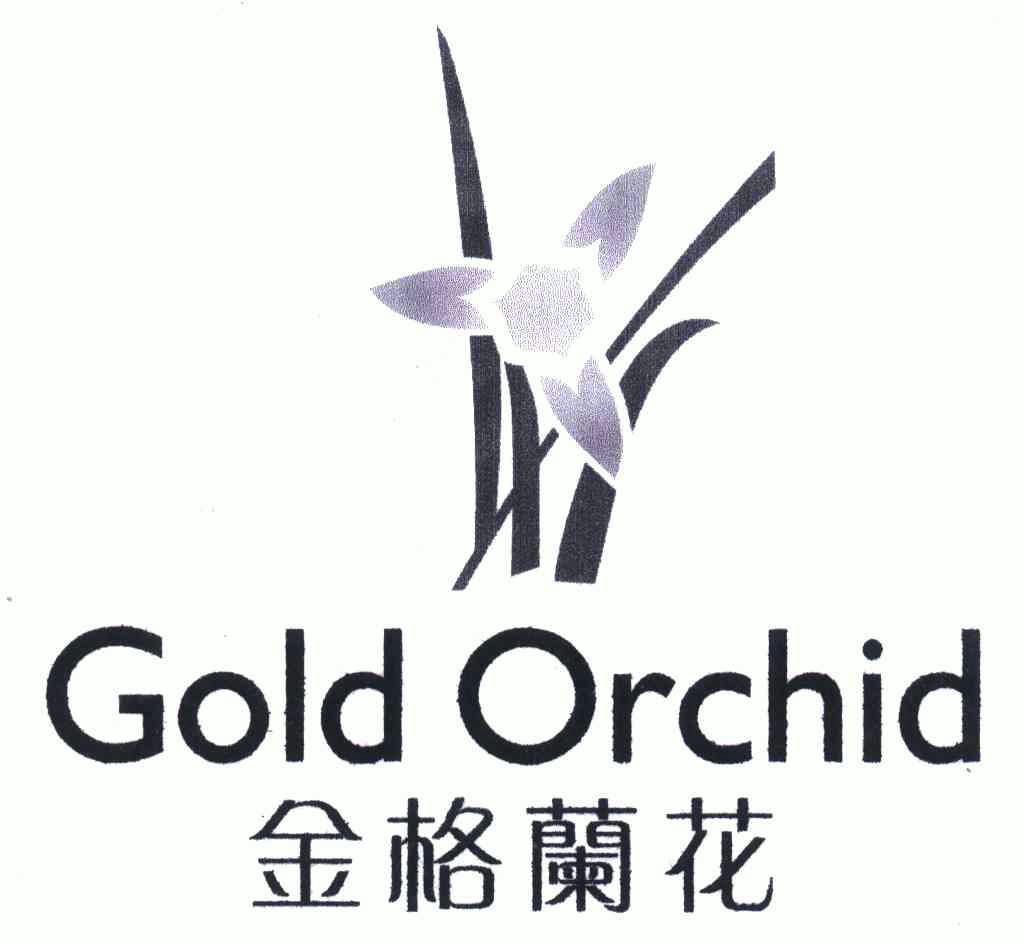 金格兰花 em>gold/em em>orchid/em>