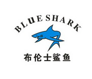  em>布伦士 /em> em>鲨鱼 /em> blue shark