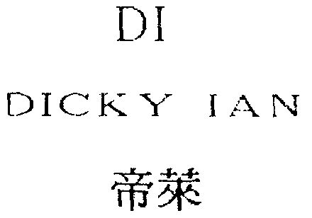 em>帝莱/em di dicky ian