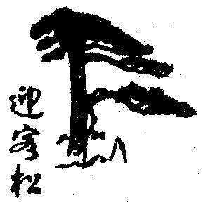 em>迎客/em>松