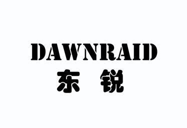 东锐 em>dawn/em em>raid/em>