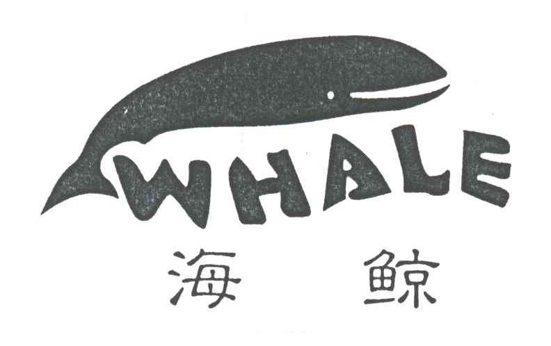 em>whale/em em>海鲸/em>