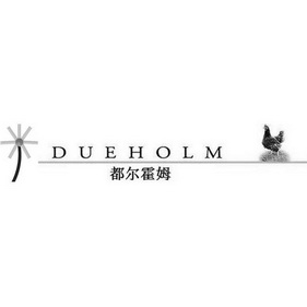 都尔霍姆 dueholm