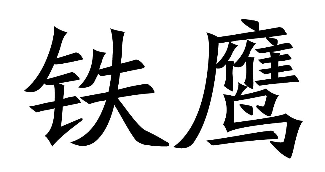 铁鹰