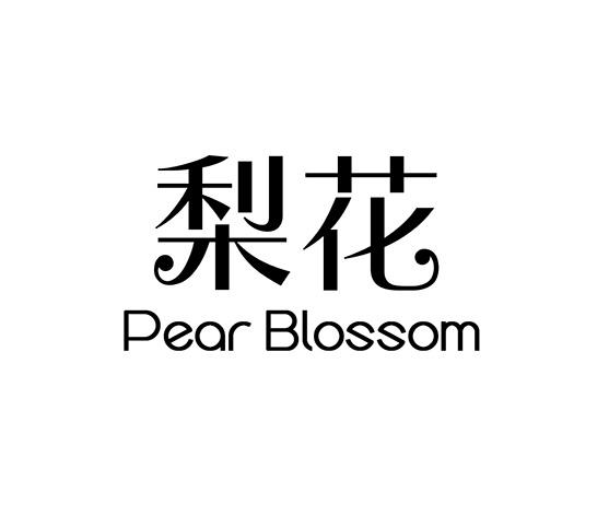 em>梨花/em pear blossom