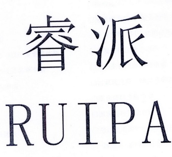 睿派ruipa