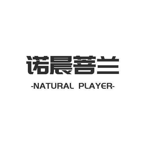 em>诺/em em>晨/em em>菩兰/em natural player