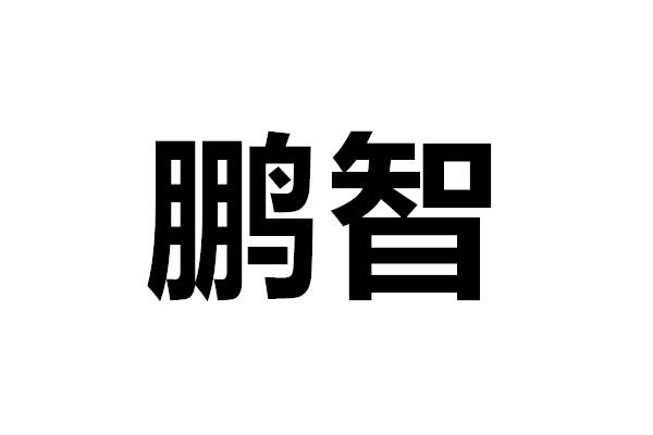 商标详情申请人:邯郸鹏智汽车用品销售有限公司 办理/代理机构:郑州