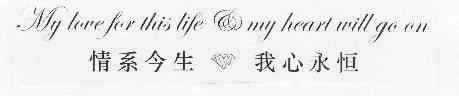 情系今生 我心永恒 my love for this life&my heart will go on