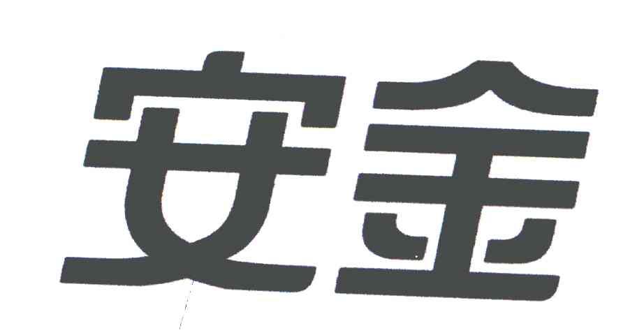 em>安金/em>