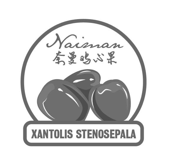 奈曼鸡心果 em>naiman/em xantolis stenosepala