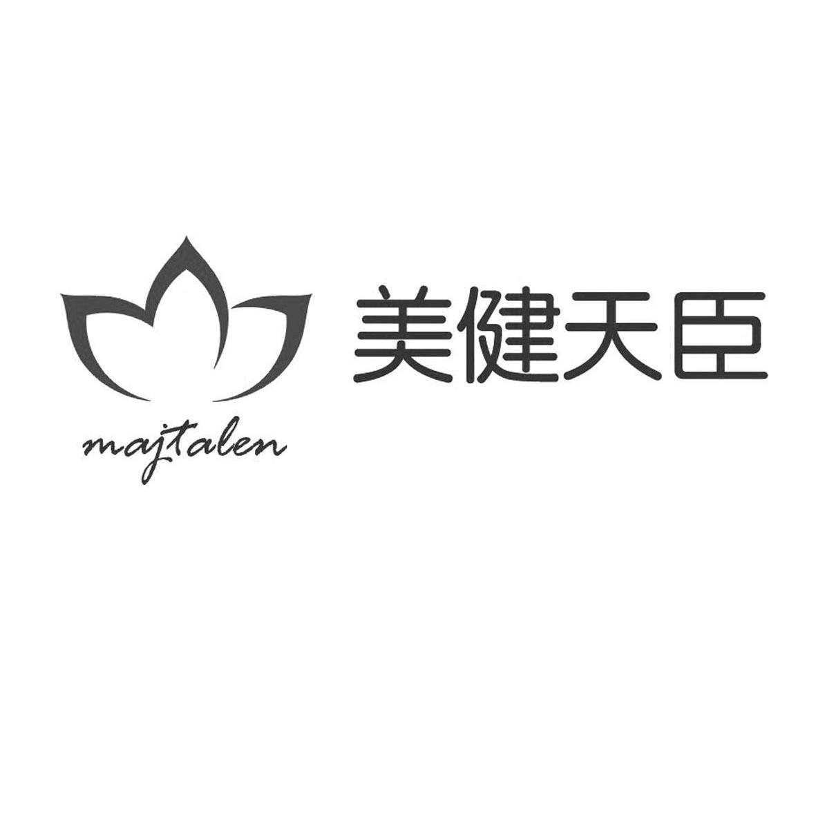 美健天臣 majtalen