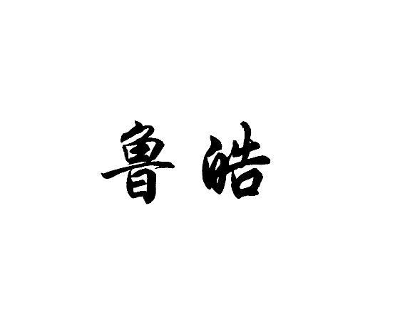 em>鲁皓/em>